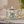 Amidst The Blossoms Tea/Coffee Set-9 Pieces