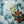 TENSI Kiln Doucai Twin-Lotus 'Chicken Heart' Cup