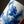 TENSI Kiln Kingfisher Cup