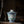 TENSI Kiln Doucai Twin-Hibiscus Lidded Tea Bowl