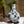 Celestial Globe Blue-and-White Porcelain Vase