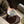 TENSI Kiln Twin Lotus Blossom Bowl Cup
