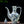 Elegant Revelry Wine Set