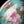 HP00032-探春